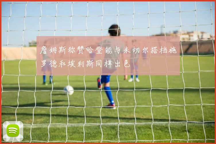 詹姆斯称赞哈登能与米切尔搭档施罗德和埃利斯同样出色