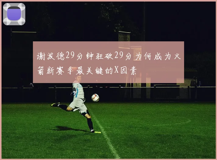 谢泼德29分钟狂砍29分为何成为火箭新赛季最关键的X因素