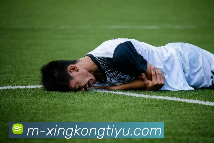 星空体育发展历程